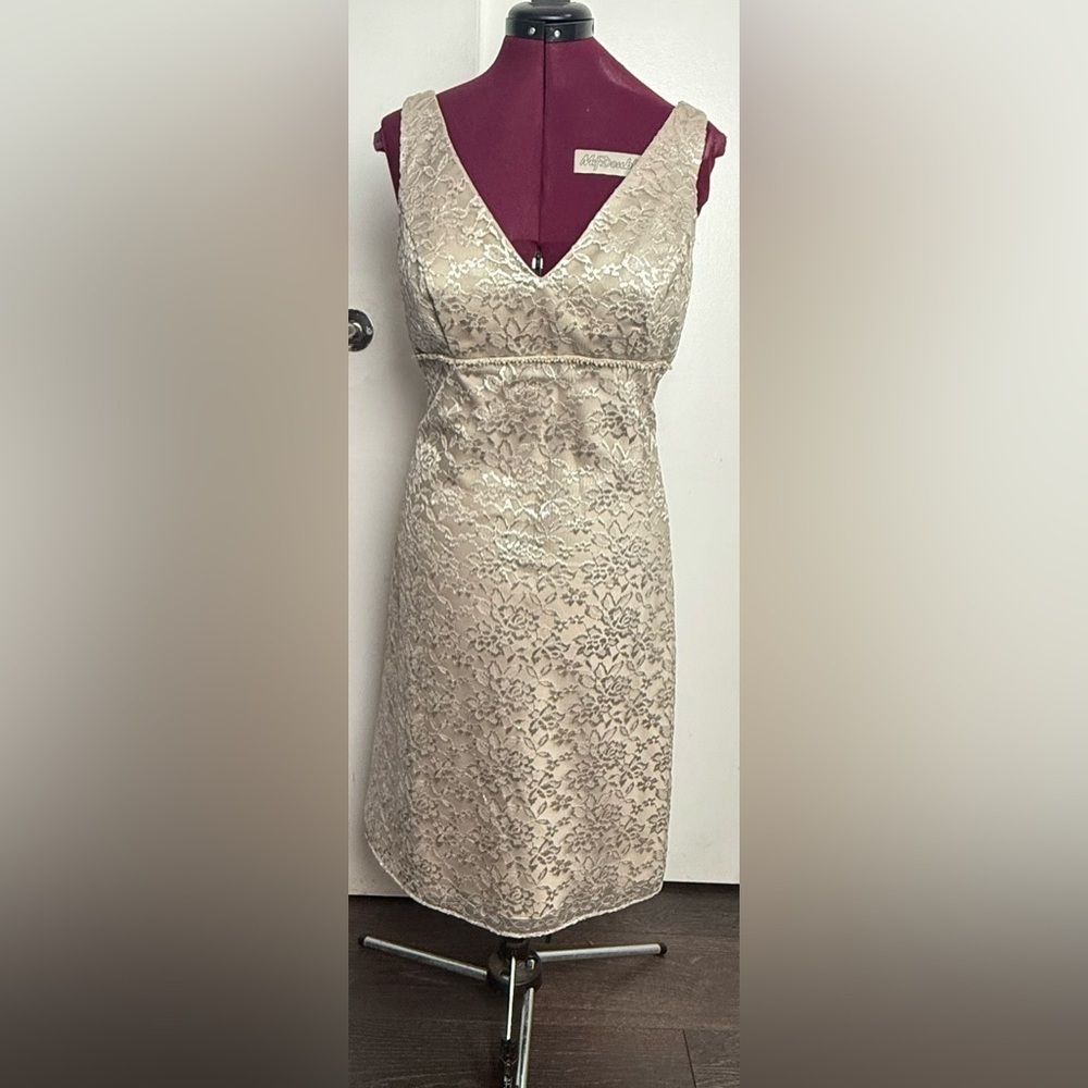 Elegant Cream Lace Dress